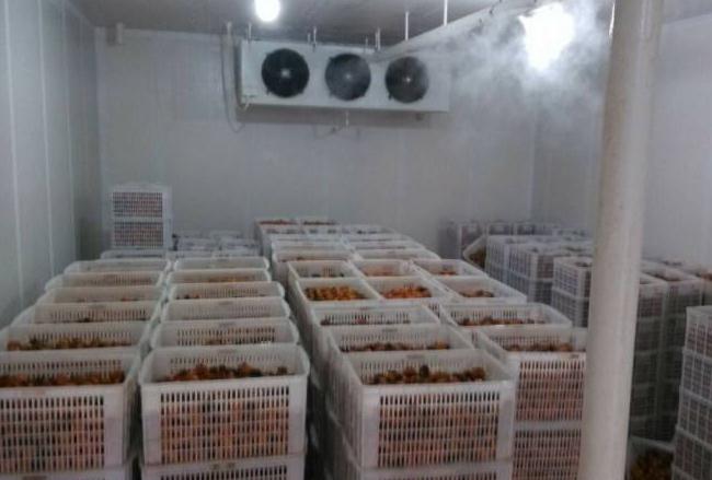 跟著安徽茄子视频黄色一起來了解下影響冷庫設備製冷效果的幾個因素吧！