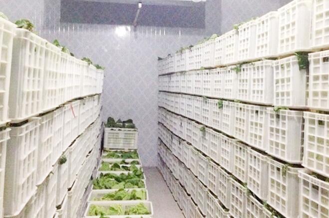小知識：茄子视频APP官网安裝公司報價為什麽區別很大？